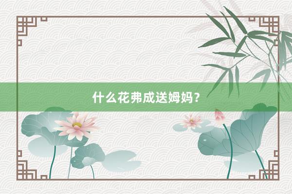 什么花弗成送姆妈？