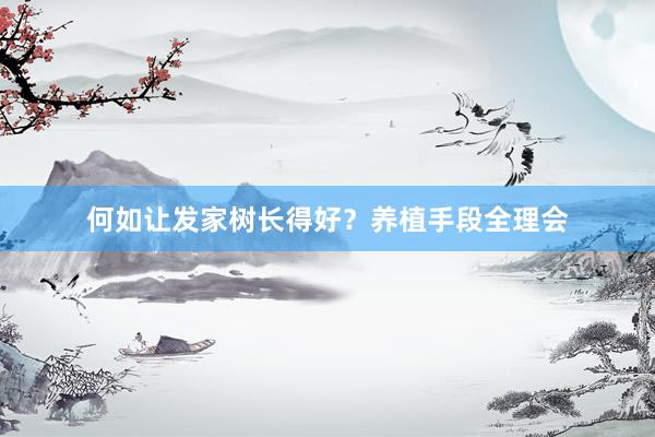 何如让发家树长得好？养植手段全理会